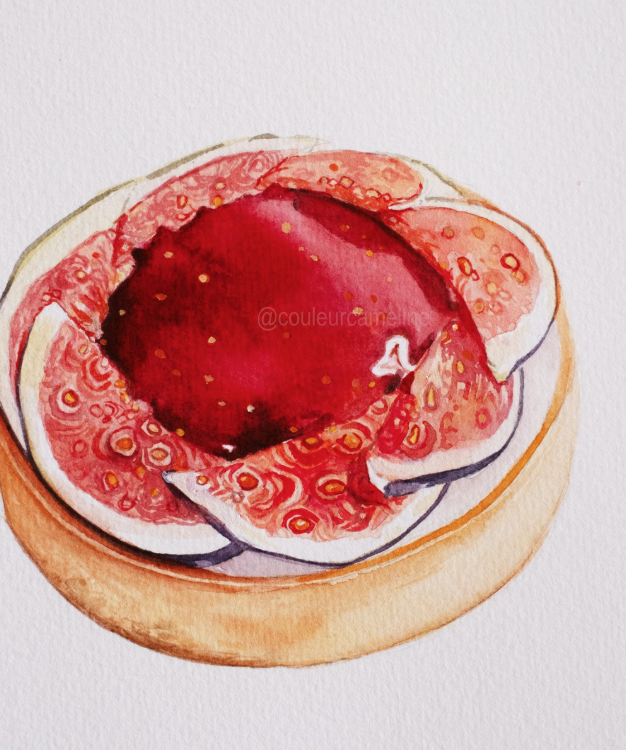 Watercolour illustration — fig tart